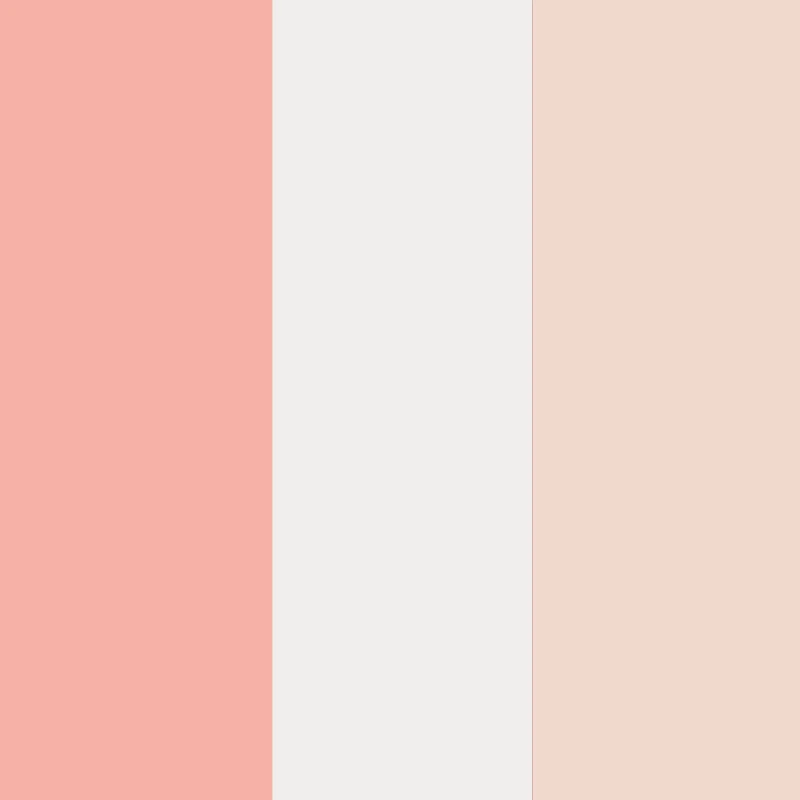 Little Girls Bow Detail Bear Graphic Panties 5 Pack