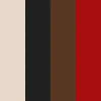 Boys Urban Extreme Icon Bear Boxer Briefs 5 Pack