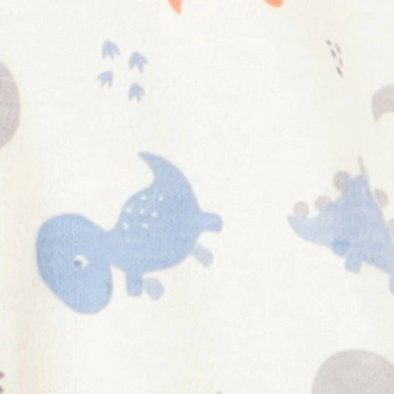 Baby Boys 0-9M Dinosaur Print Footed Jumpsuit