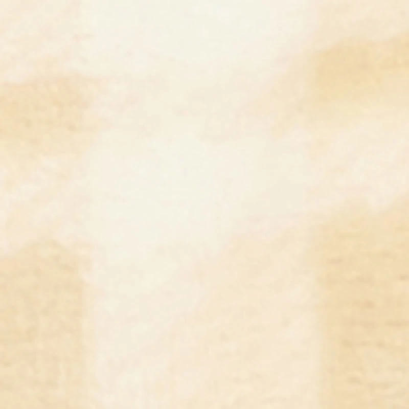 Baby Boys 0-9M Teddy Bear Print Hooded Footed Jumpsuit