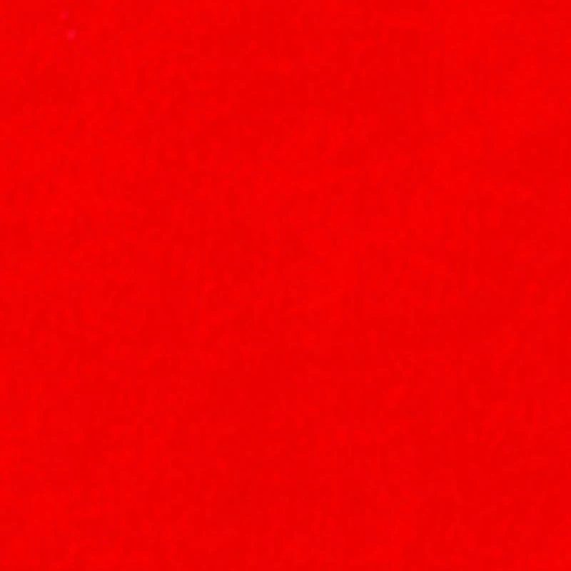 French Toast Girls 4-6x Short Sleeve Picot Trim Polo Shirt