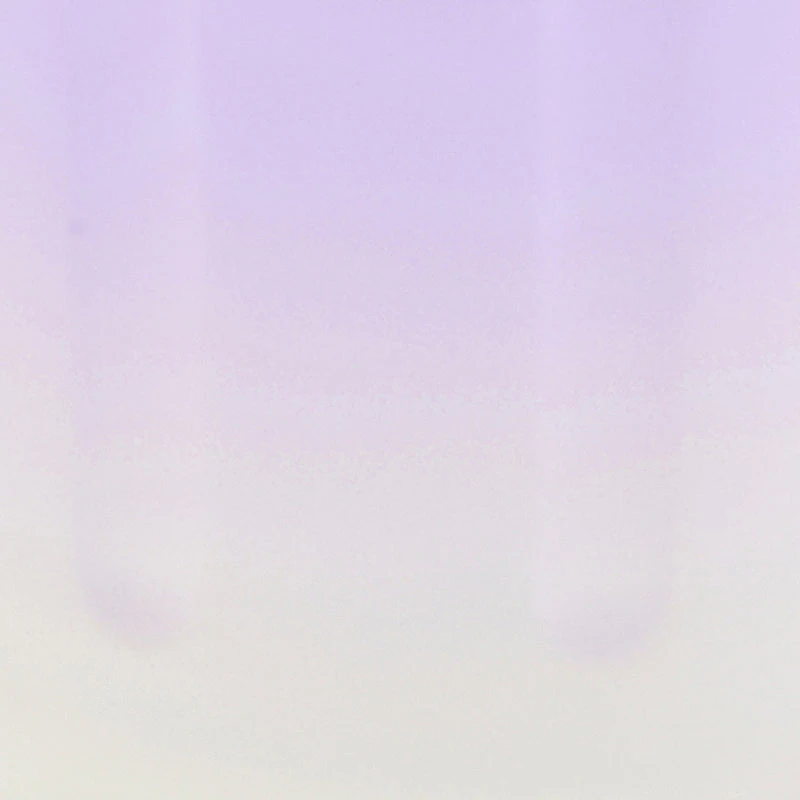 Ombre Bunny Ear Flip Top Water Bottle