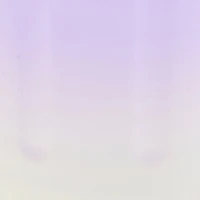 Ombre Bunny Ear Flip Top Water Bottle