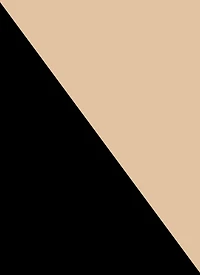 Snatched High Waisted Biker Shorts 2 Pack