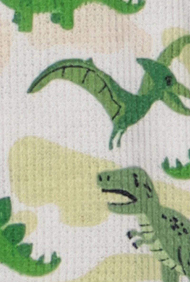 Baby Boys 12-24M Graphic Print Thermal Top and Pants Set