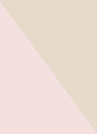 Girls Bebe Solid Wireless Plunge Bras 2 Pack