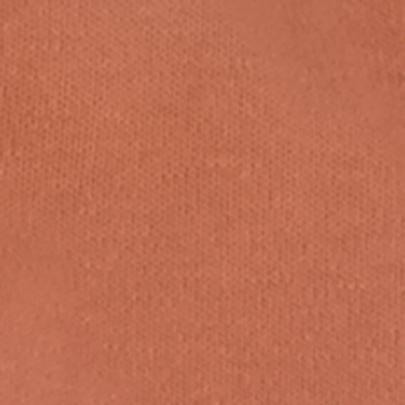 Baby Boys 0-9M Dinosaur Graphic Bodysuit and Joggers with Bib