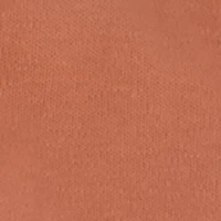 Baby Boys 0-9M Dinosaur Graphic Bodysuit and Joggers with Bib