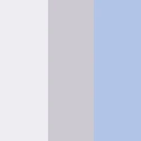 Baby Boys 0-9M Born To Roar Bodysuits with Sunglasses