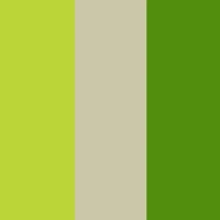 Baby Boys 0-9M Cool Little Dude Graphic Bodysuits with Sunglasses