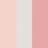 Baby Girls 0-9M Flower Graphic Print Bodysuits 3 Pack