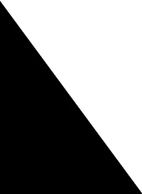 Plus Varsity Stripe High Waisted Biker Shorts