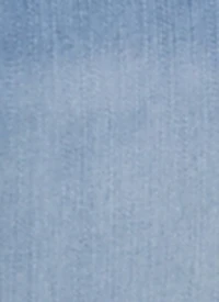 WAX Distressed High Waist Cropped Skinny Jeans