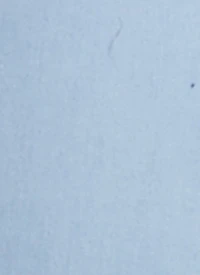 Plus WAX 5 Button Jeans