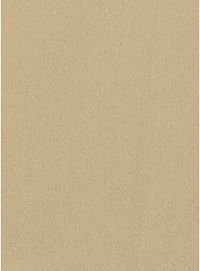 French Toast Girls 4-6x Mid Thigh Khaki Shorts