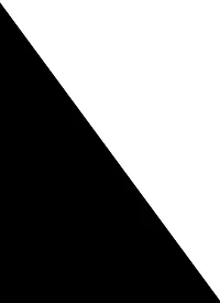 Girls 10 Pack Assorted Basic Ankle Socks