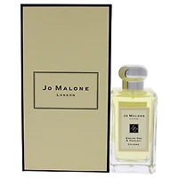 Tuberose Angelica Intense
