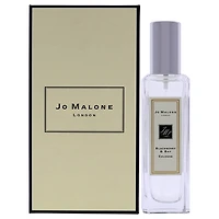 Blackberry And Bay Perfume