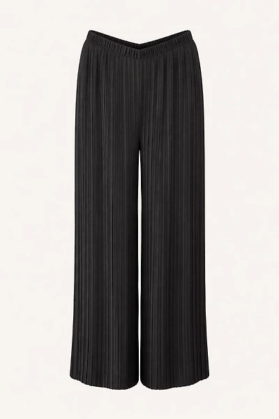 PLEADED PANTS