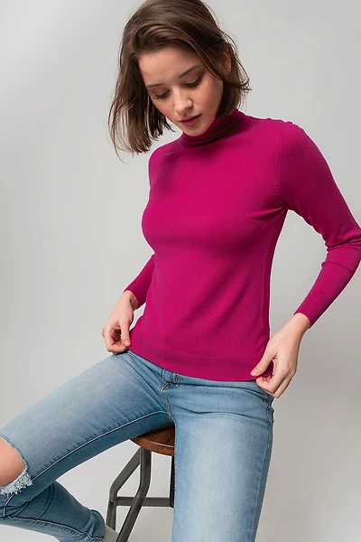 Le tricot col roulé uni
