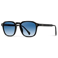 1073 Francis Polarized