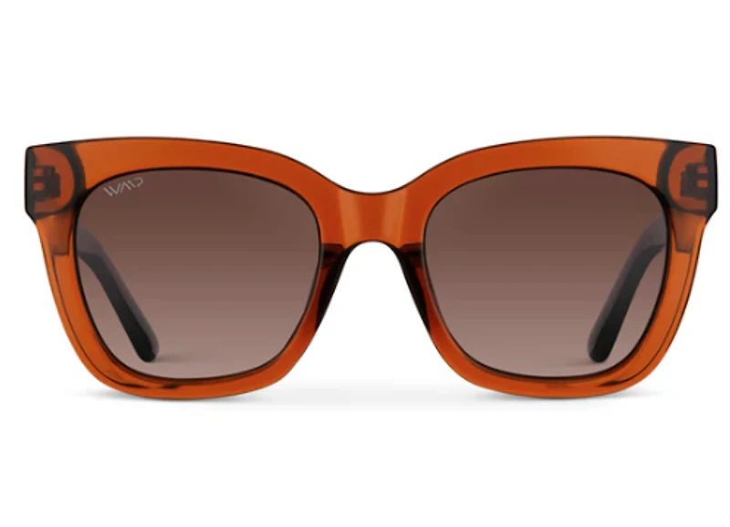 1077 Stormi Polarized
