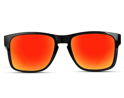 1004 Dorian Polarized