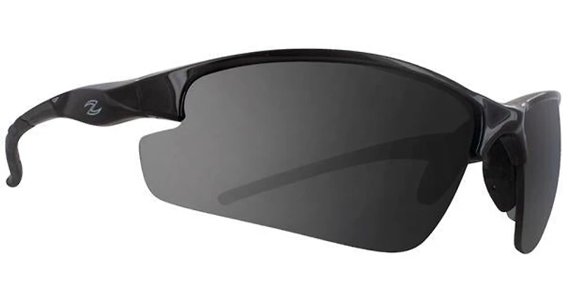 Bizol 2 Bifocal Reading Sunglasses