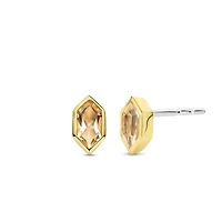 Celestial Peach Stud Earrings