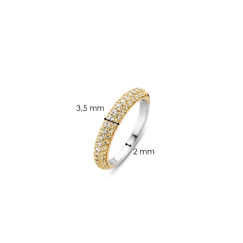 Pave All Night Golden Ring