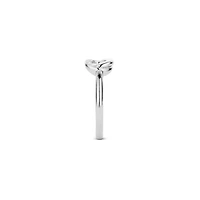 Infinite Wish Silver Ring