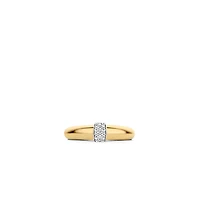 Shine the Middle Golden Ring