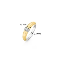 Shine the Middle Golden Ring