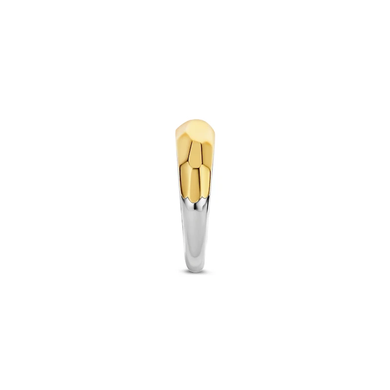 Bombay Golden Skinny Ring