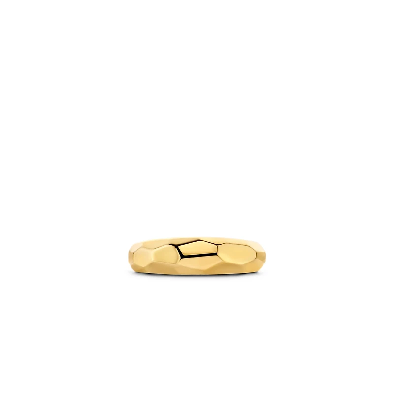 Bombay Golden Skinny Ring