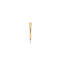 Bezel Zirconia Golden Ring