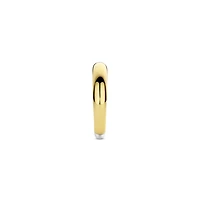 Signature TSM Golden Ring