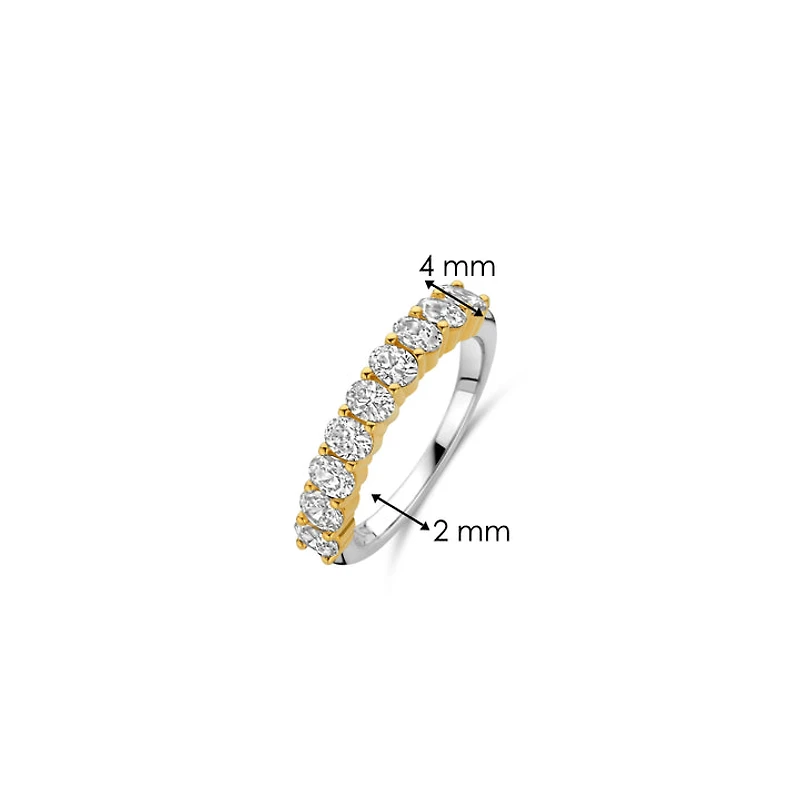 Classic Elegance Golden Ring