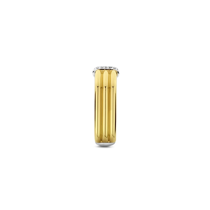 Dashing Golden Ring