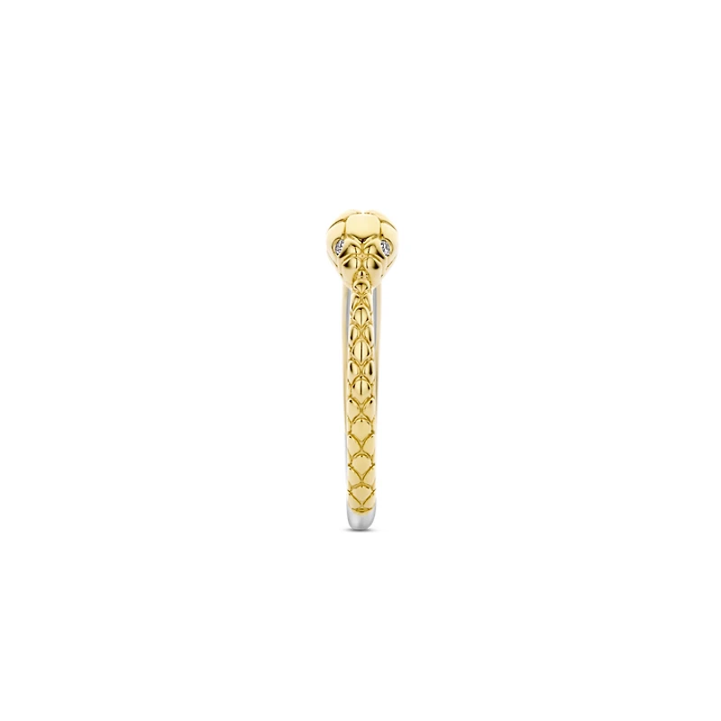 Snake Band Ring