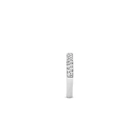 Double Row Zirconia Ring