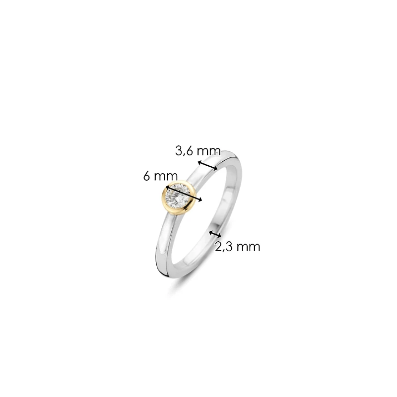 Mini Golden Ring