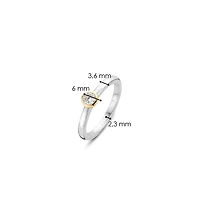 Mini Golden Ring