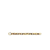 Light Tortoise Links Bracelet