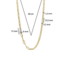 Iconic Paperclip Link Golden Necklace Long