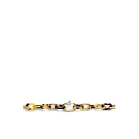 Tortoise Links Necklace