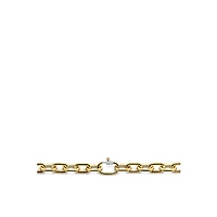 Chunky Golden Links Necklace