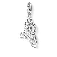 Zodiac Capricorn Charm