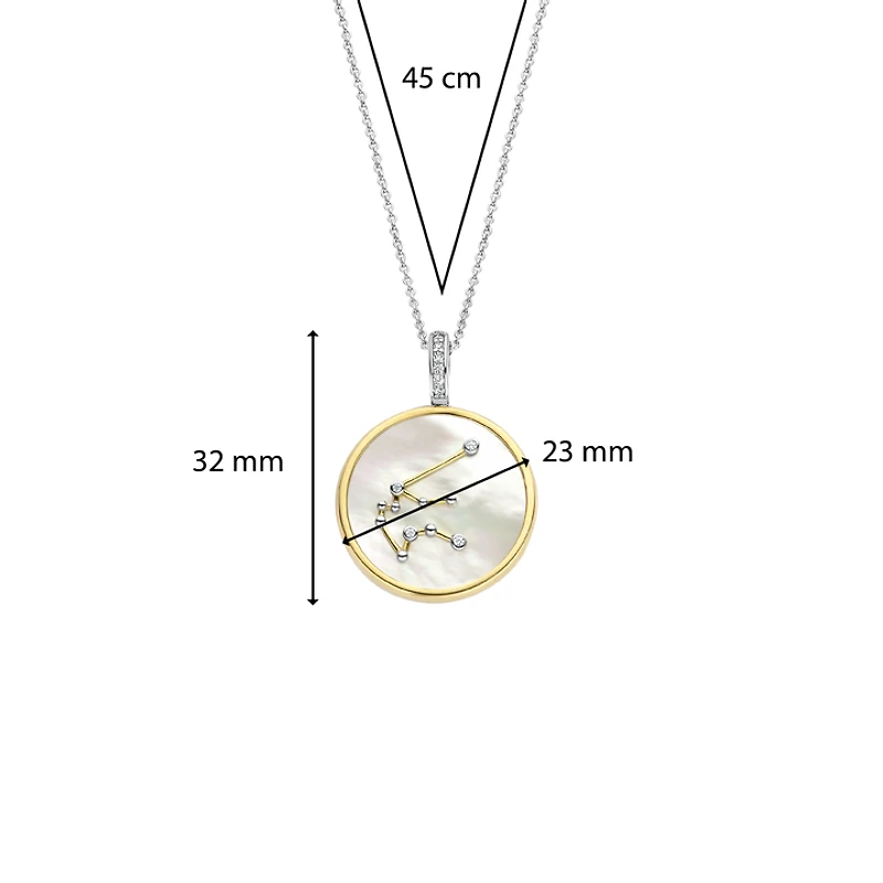Zodiac Aquarius Necklace