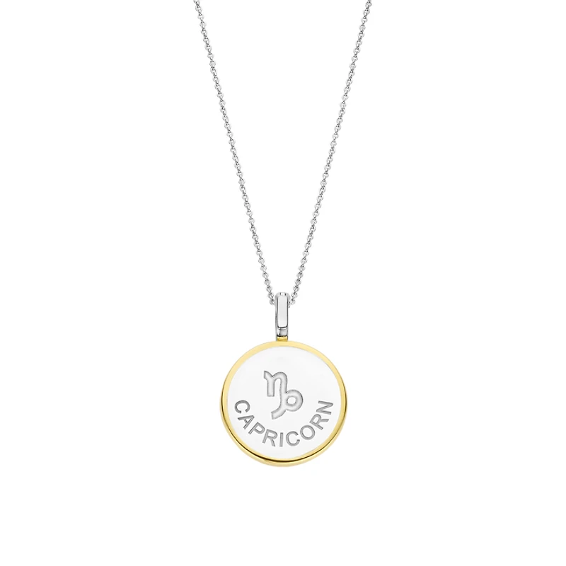Zodiac Capricorn Necklace